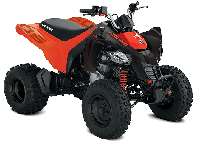 Can-Am DS 250 NOIR-ET-ROUGE-CAN-AM 2022 en vente à Saint ...